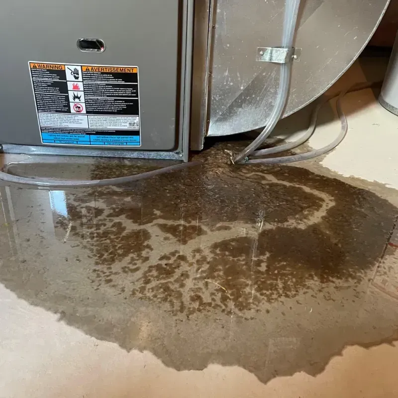 Appliance Leak Cleanup in Sunset Beach, NC